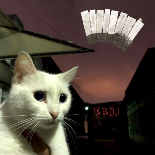 Ta Ta Du封面