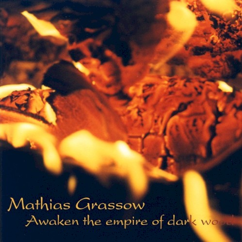 Awaken the Empire of Dark Wood封面