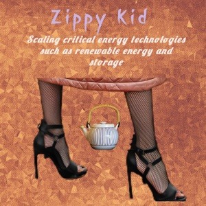 Scaling Critical Energy Technologies Such as Renewable Energy and Storage封面