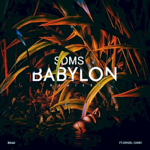 Babylon (SDMS remix)封面