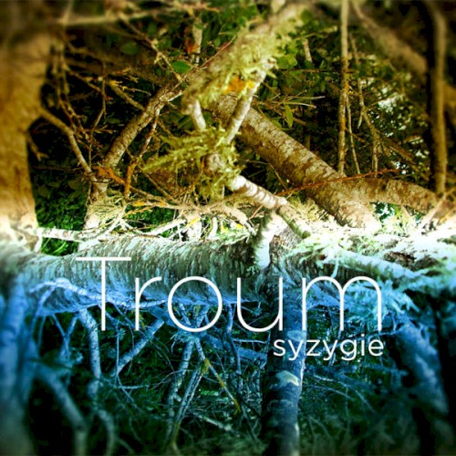 Syzygie封面