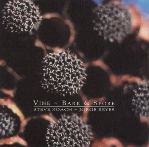 Vine ~ Bark & Spore封面