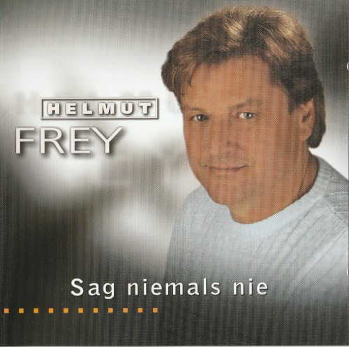 Sag niemals nie封面