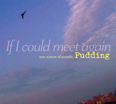 If I Could Meet Again封面