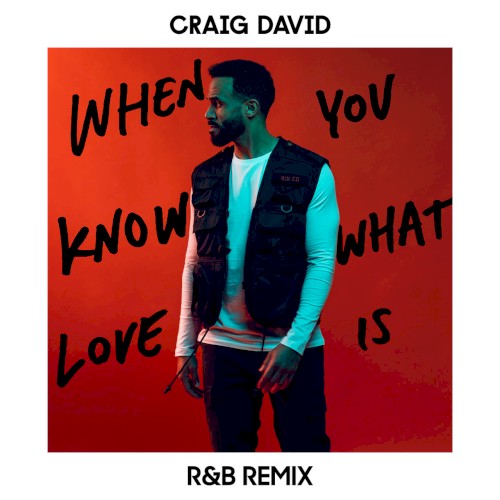 When You Know What Love Is (R&B remix)封面