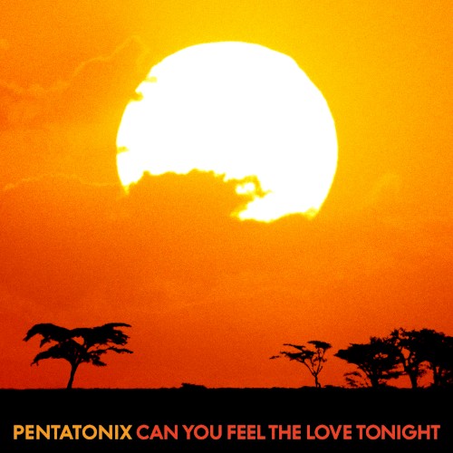 Can You Feel the Love Tonight封面