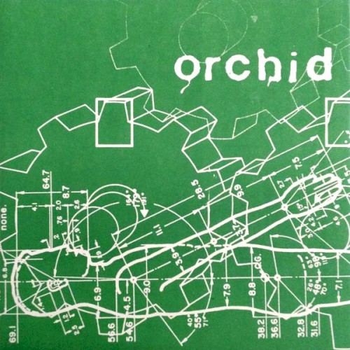 Orchid封面