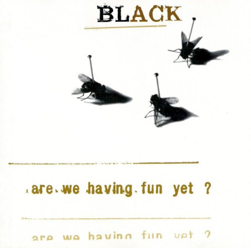 Are We Having Fun Yet?封面