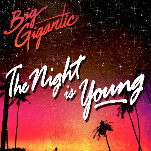 The Night Is Young封面