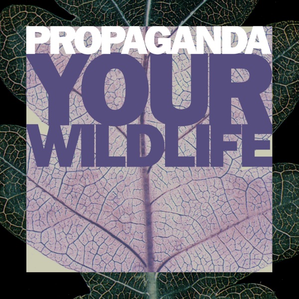 Your Wildlife封面