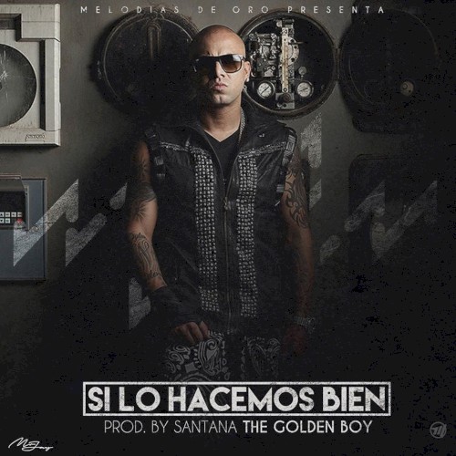 Si lo hacemos bien封面