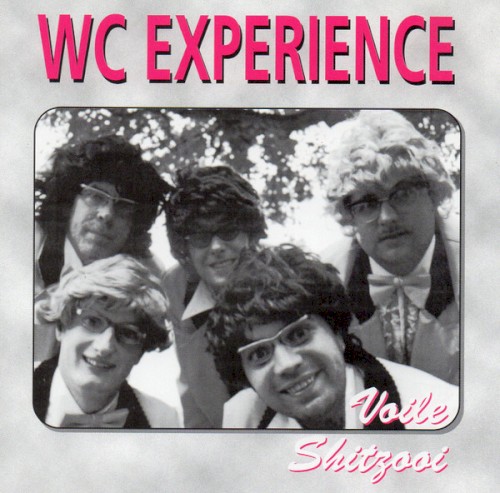 Voile shitzooi封面