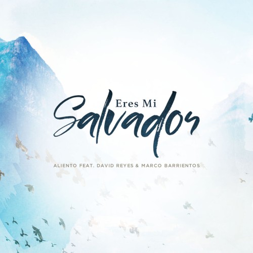 Eres mi salvador封面