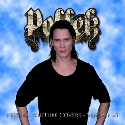 Covers, Vol. 25封面