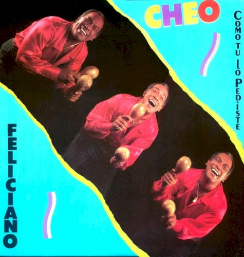 Como tú lo pediste封面