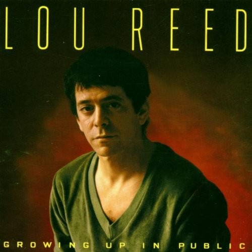 Growing Up in Public封面