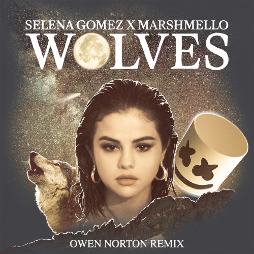 Wolves (Owen Norton remix)封面