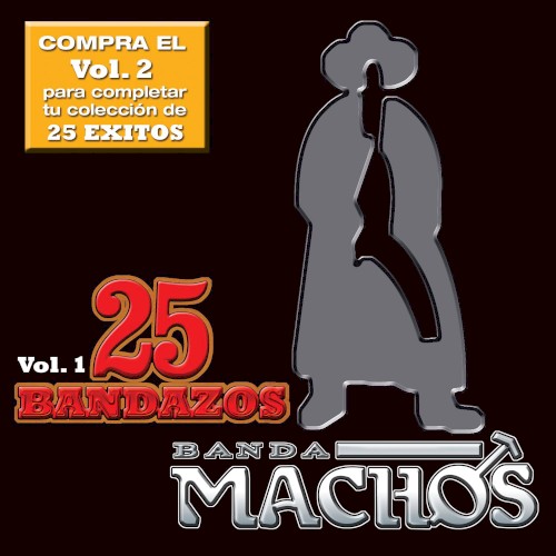 25 bandazos: Banda Machos, vol. 1封面