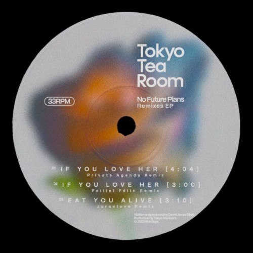 No Future Plans (Remixes)封面