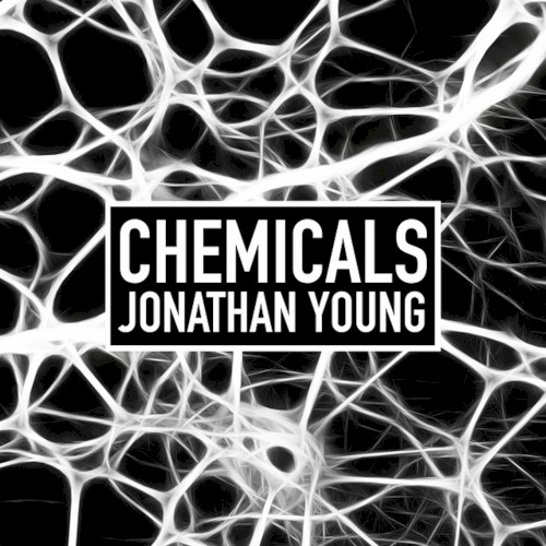 Chemicals封面