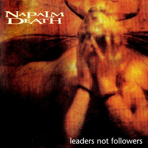 Leaders Not Followers封面