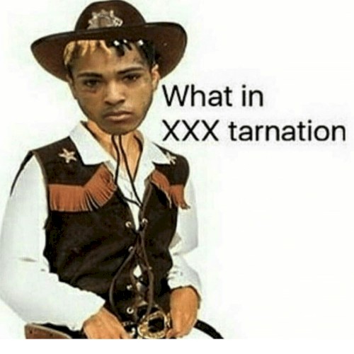 What in XXXTarnation封面