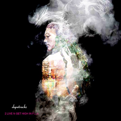 2 Live N Get High In F.L.A.封面