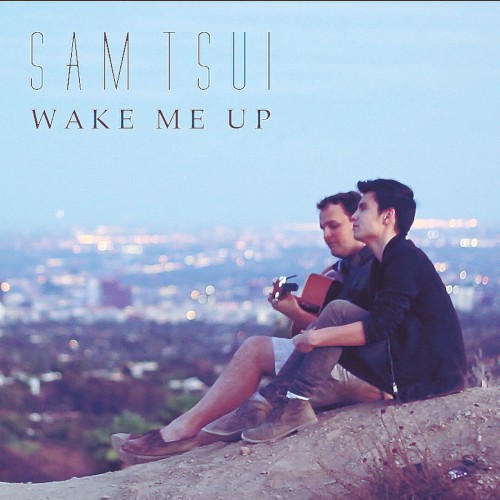 Wake Me Up (Acoustic)封面
