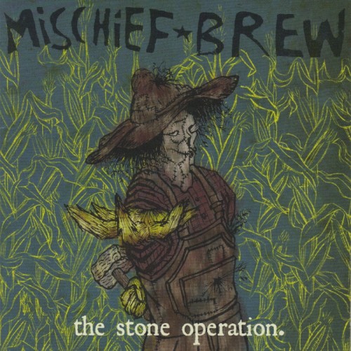 The Stone Operation封面