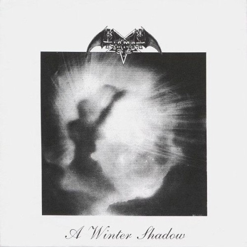 A Winter Shadow封面