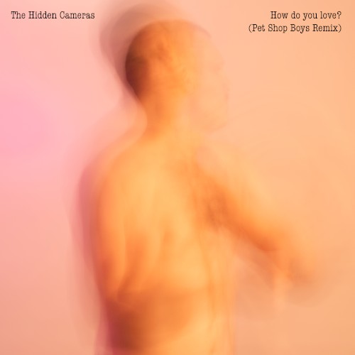 How Do You Love? (Pet Shop Boys remix)封面