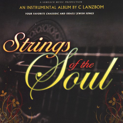 Strings of the Soul封面