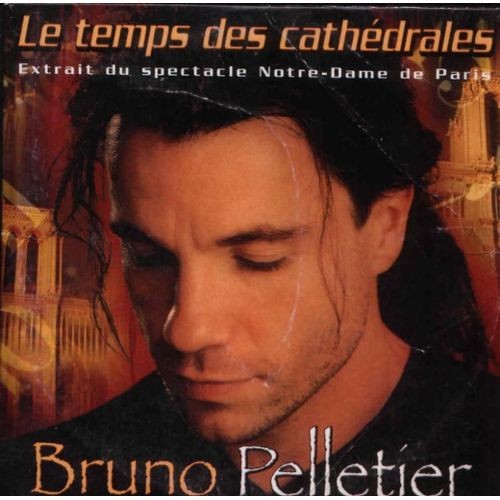 Le Temps des cathédrales封面