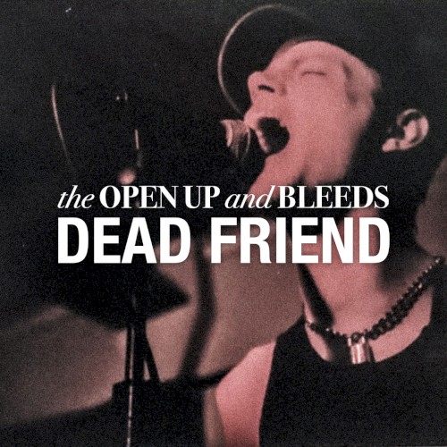 Dead Friend封面