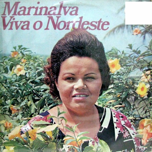 Viva o Nordeste封面