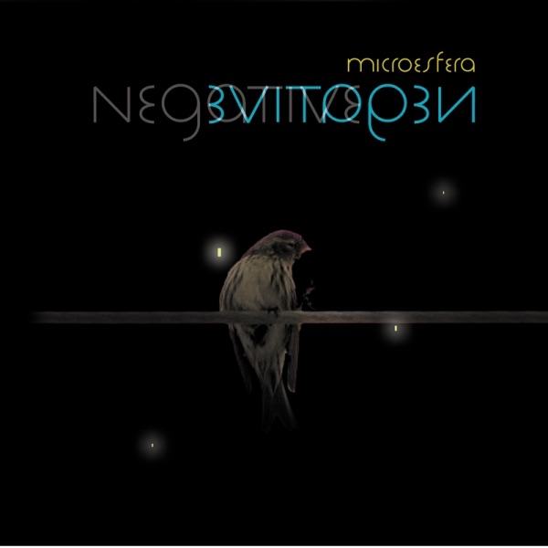Negative封面