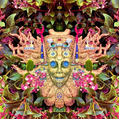 Carnival of Peculiarities封面