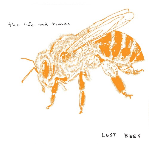Lost Bees封面