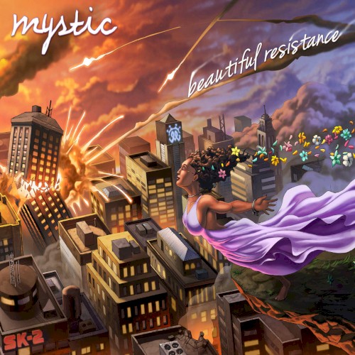 Beautiful Resistance封面