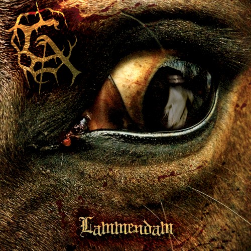 Lammendam封面