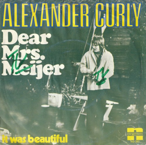 Dear Mrs. Meijer封面