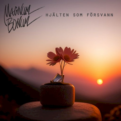 Hjälten som försvann封面