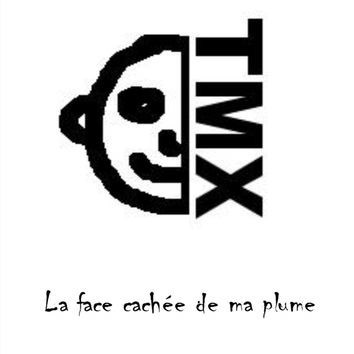 La face cachée de ma plume封面