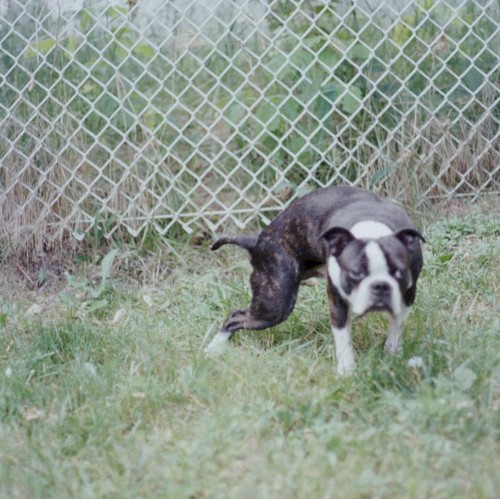 0.001%封面