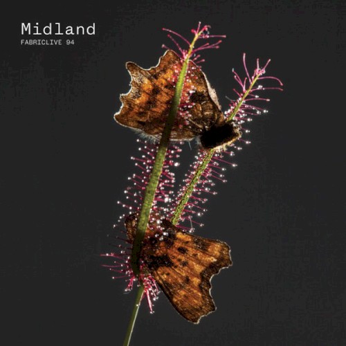 FabricLive 94: Midland封面