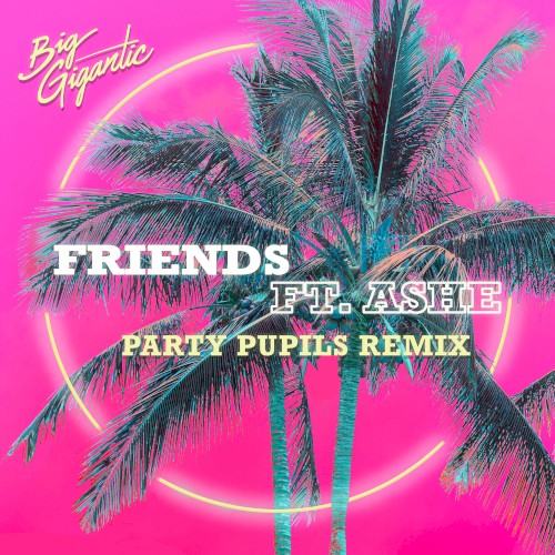 Friends (Party Pupils remix)封面