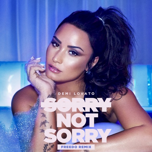 Sorry Not Sorry (Freedo remix)封面