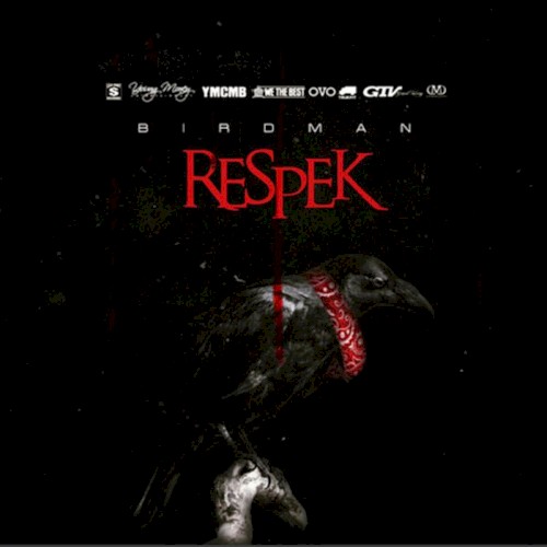 Respek封面