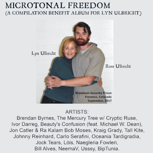 Microtonal Freedom (A Compilation Benefit album for Lyn Ulbricht)封面
