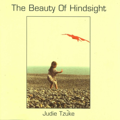 The Beauty of Hindsight, Volume 1封面